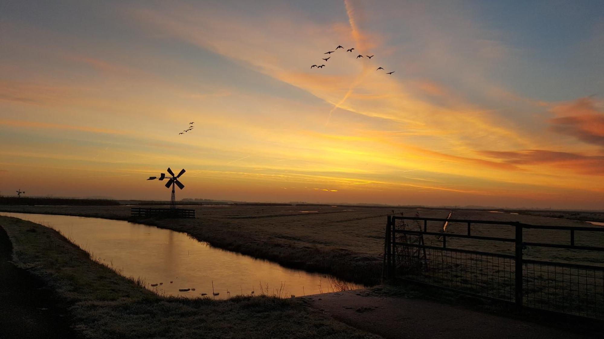 Noord-Hollands Hof Dream Daire Spijkerboor Dış mekan fotoğraf