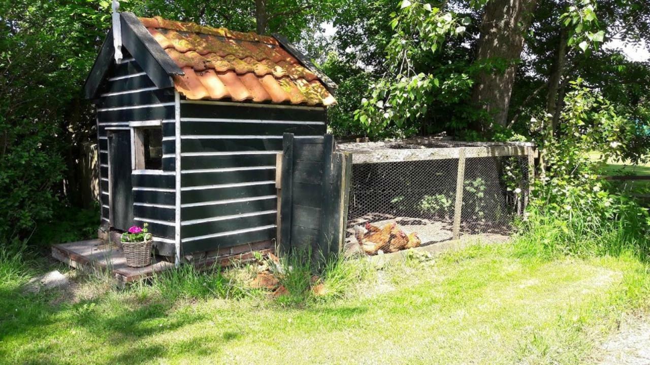 Noord-Hollands Hof Dream Daire Spijkerboor Dış mekan fotoğraf