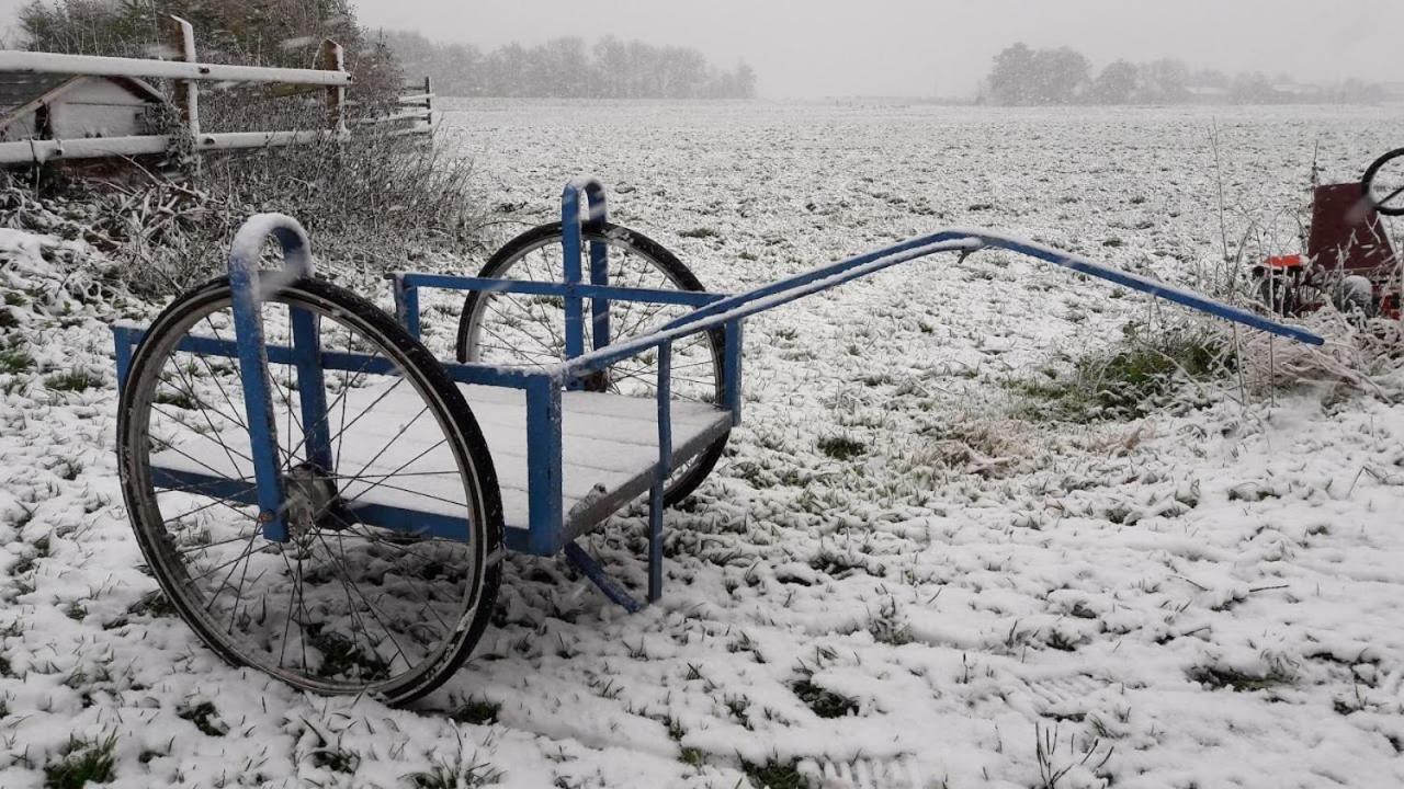 Noord-Hollands Hof Dream Daire Spijkerboor Dış mekan fotoğraf